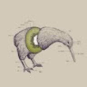 Meet your Posher, Jinyi